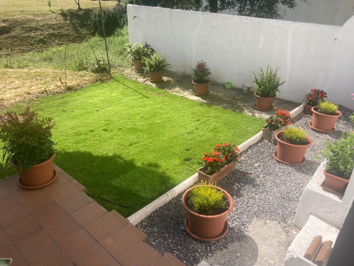 Apartamento Con Jardin En El Oviedo Antiguo Exteriör bild
